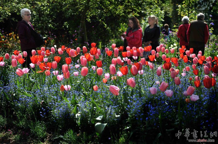 5月4日，游客在巴黎郊區(qū)莫奈花園的“花園”參觀。