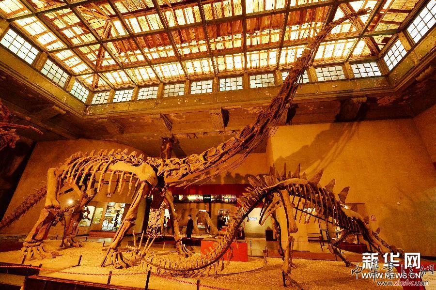 #（社會(huì)）（1）上海自然博物館老館即將謝幕  新館下半年開(kāi)放