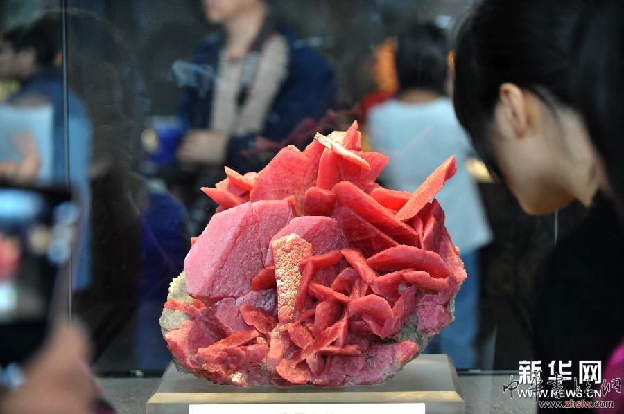 （社會）（1）全球罕見礦物化石寶石薈萃長沙