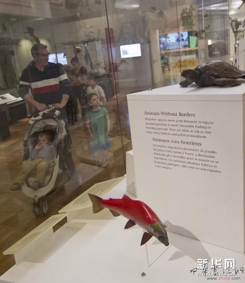 （國際）（6）博物館里的&ldquo;家庭日&rdquo;