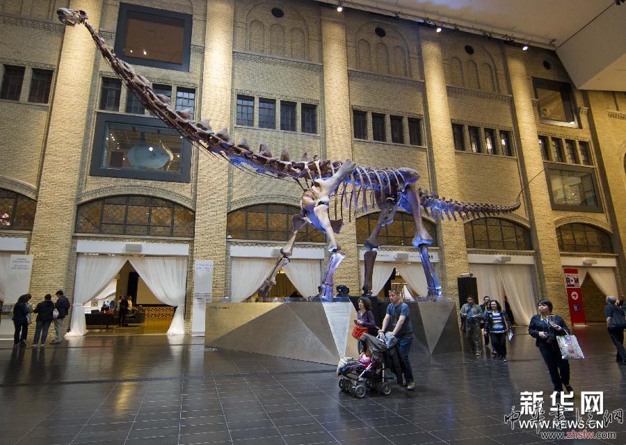 （國際）（7）博物館里的&ldquo;家庭日&rdquo;