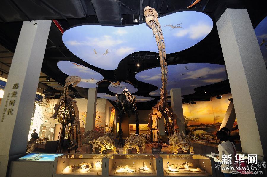 （社會）（2）山西地質(zhì)博物館將于世界博物館日開館迎客