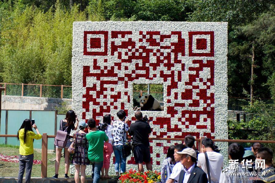 （晚報）（2）巨型&ldquo;大熊貓鮮花二維碼&rdquo;亮相昆明