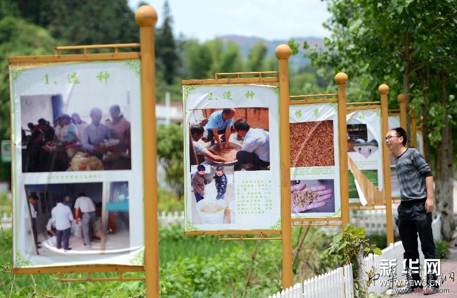 （新華網(wǎng)）（2）江西遂川：特色宣傳畫扮美鄉(xiāng)村