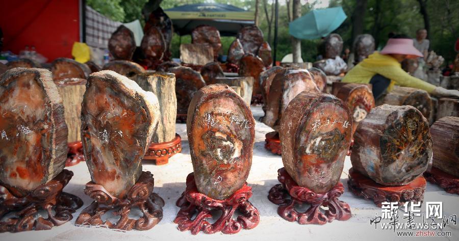 （晚報(bào)）（3）特色石頭亮相中國(guó)（沈陽(yáng)）古玩藝術(shù)品博覽會(huì)