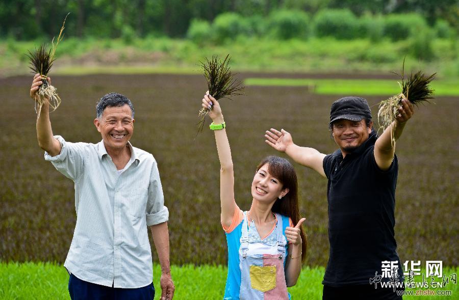 #（社會(huì)）（1）大地農(nóng)民畫《巨龍舞夢(mèng)》試種彩色水稻