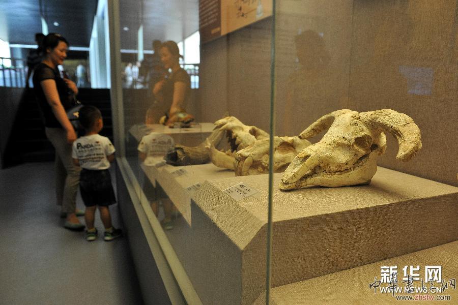 古老的石頭“會(huì)說(shuō)話” (文化)(2)古老的石頭“會(huì)說(shuō)話”