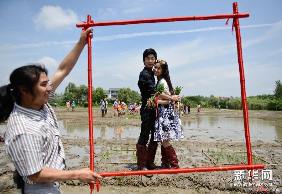 #（社會）（3）大地農民畫《巨龍舞夢》正式種&ldquo;彩龍&rdquo;