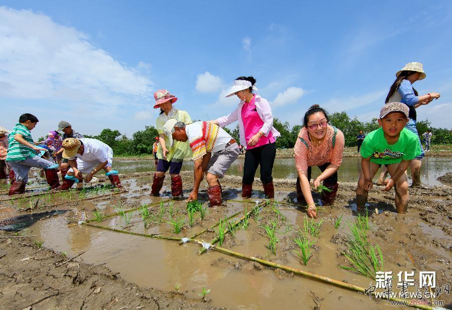 #（社會）（4）大地農(nóng)民畫《巨龍舞夢》正式種&ldquo;彩龍&rdquo;