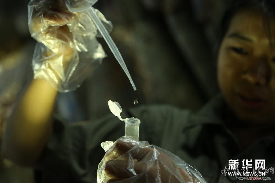 #（文化）（5）持續(xù)陰雨阻礙重慶大足千手觀音造像修復(fù)工作