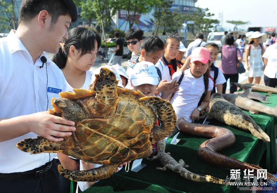 （生態(tài)）（2）關(guān)愛海洋 我們一起行動