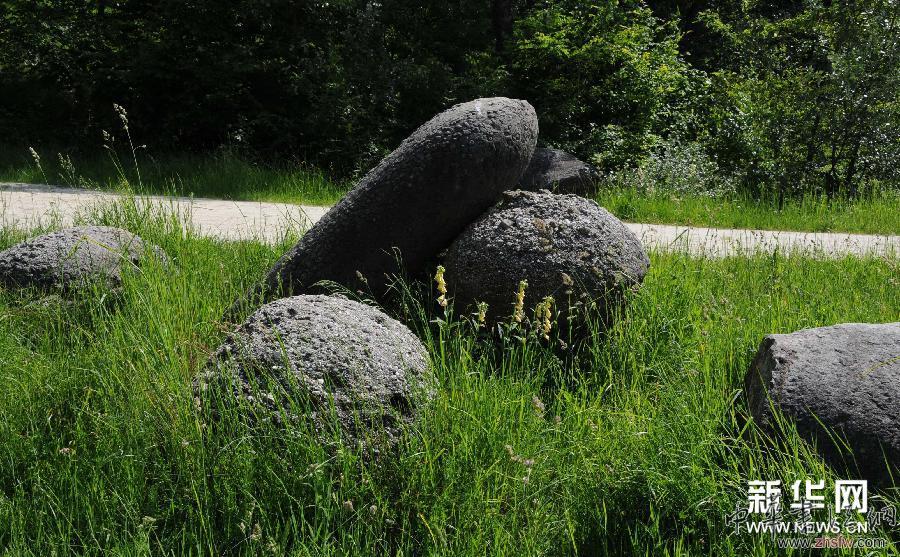 （晚報(bào)）（1）&ldquo;會(huì)長(zhǎng)大&ldquo;的石頭