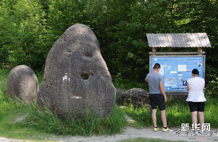 （晚報）（4）&ldquo;會長大&ldquo;的石頭