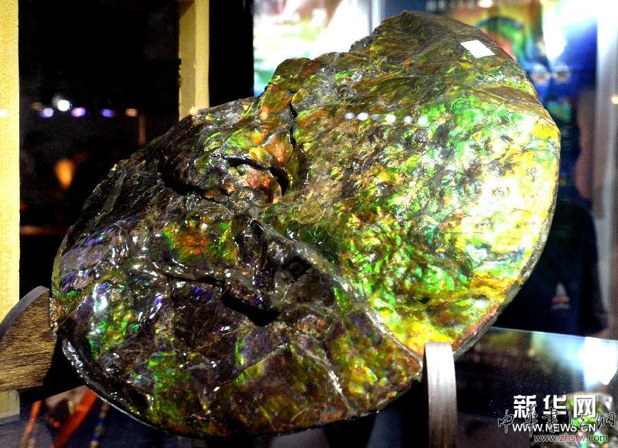 （晚報(bào)）（2）加拿大鸚鵡螺斑彩寶石現(xiàn)身北京