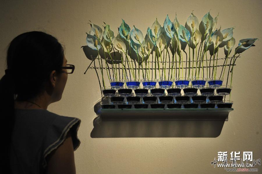 （文化）（3）&ldquo;齊物等觀：2014年國際新媒體藝術(shù)三年展&rdquo;在京開幕