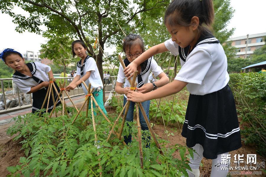 #（教育）（2）學校&ldquo;動植物園&rdquo;亮相遼寧朝陽