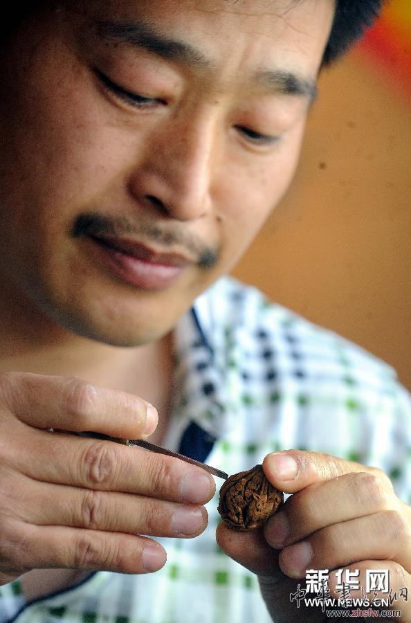 （社會(huì)）（2）小核雕展現(xiàn)大世界