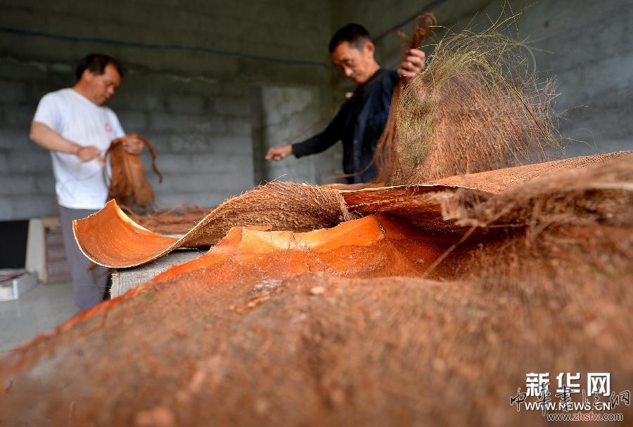 #（文化）（1）織蓑衣&mdash;&mdash;&ldquo;樹皮成衣&rdquo;的古老縫紉技藝