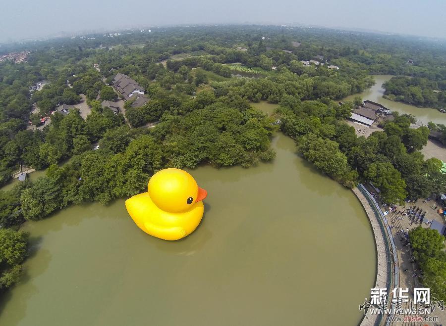 杭州西溪濕地“大黃鴨”助力愛心公益 組圖 (社會)(2)杭州西溪濕地“大黃鴨”助力愛心公益