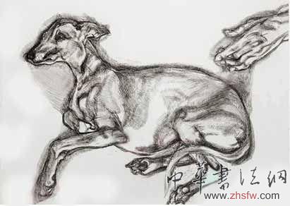 倫敦邦瀚斯:弗洛伊德版畫(huà)名作艷冠群倫 圖為二十世紀(jì)杰出藝術(shù)家盧西安的珍貴蝕刻版畫(huà)名作《PlutoAgedTwelve》