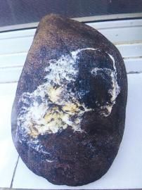 點擊瀏覽下一頁