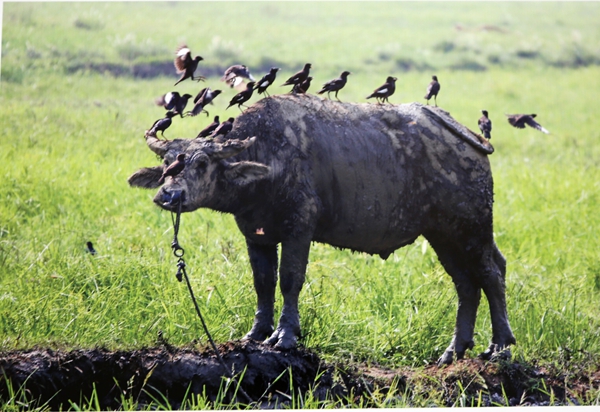 點(diǎn)擊瀏覽下一頁(yè)