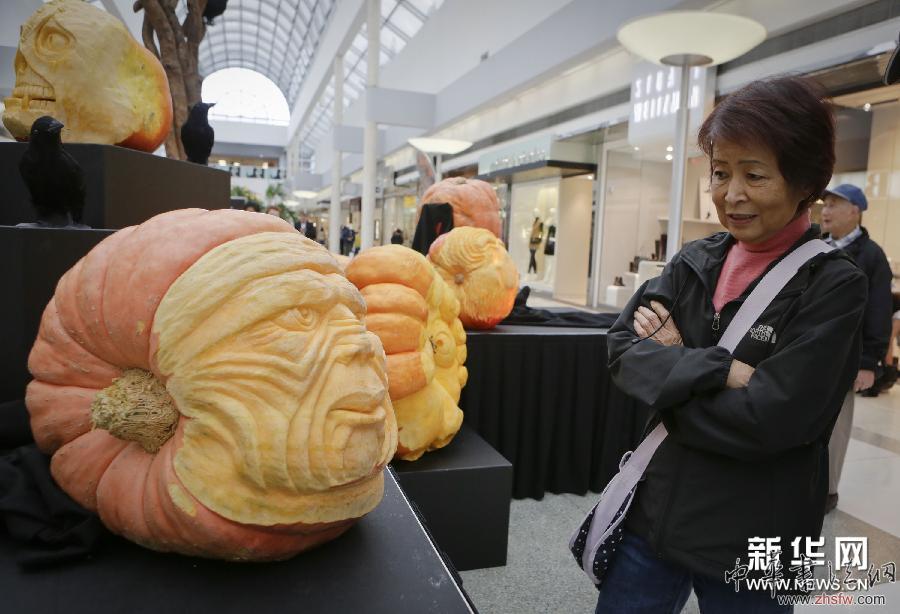 妙趣南瓜雕刻展 (XHDW)(4)妙趣南瓜雕刻展