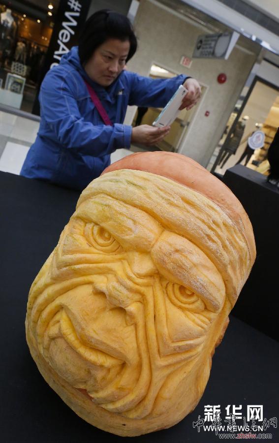 妙趣南瓜雕刻展 (XHDW)(5)妙趣南瓜雕刻展