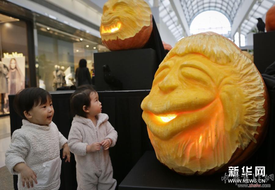 妙趣南瓜雕刻展 (XHDW)(3)妙趣南瓜雕刻展