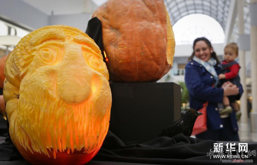 妙趣南瓜雕刻展 (XHDW)(2)妙趣南瓜雕刻展