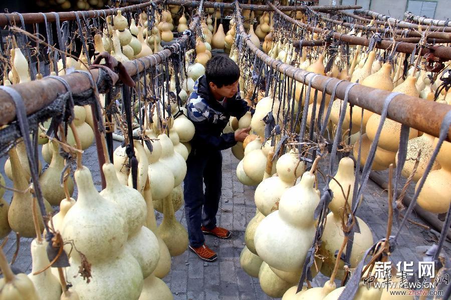 （晚報(bào)）（1）河北任縣：小葫蘆里種出文化大文章