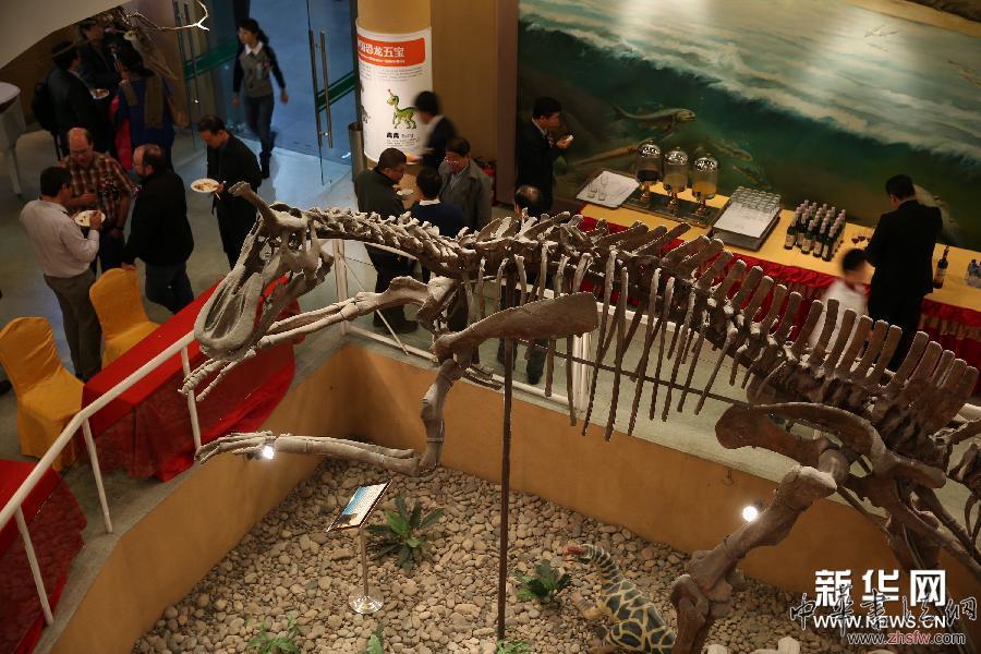 （晚報）（2）&ldquo;博物館之夜&rdquo;：紀(jì)念古脊椎所建所85周年