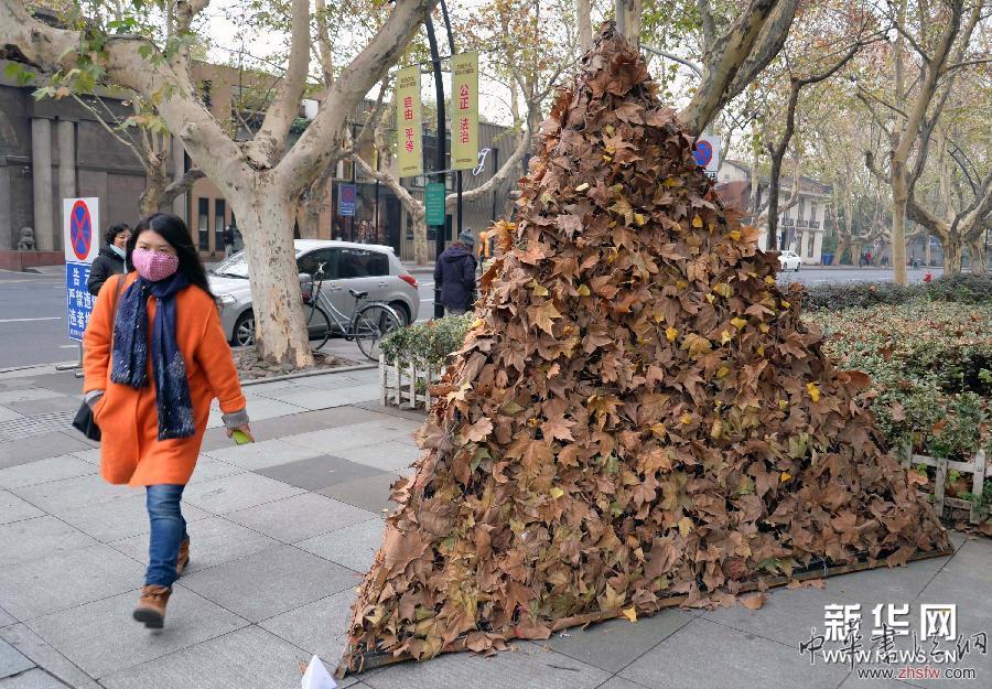 #（晚報(bào)）（1）落葉&ldquo;金字塔&rdquo;亮相杭州街頭