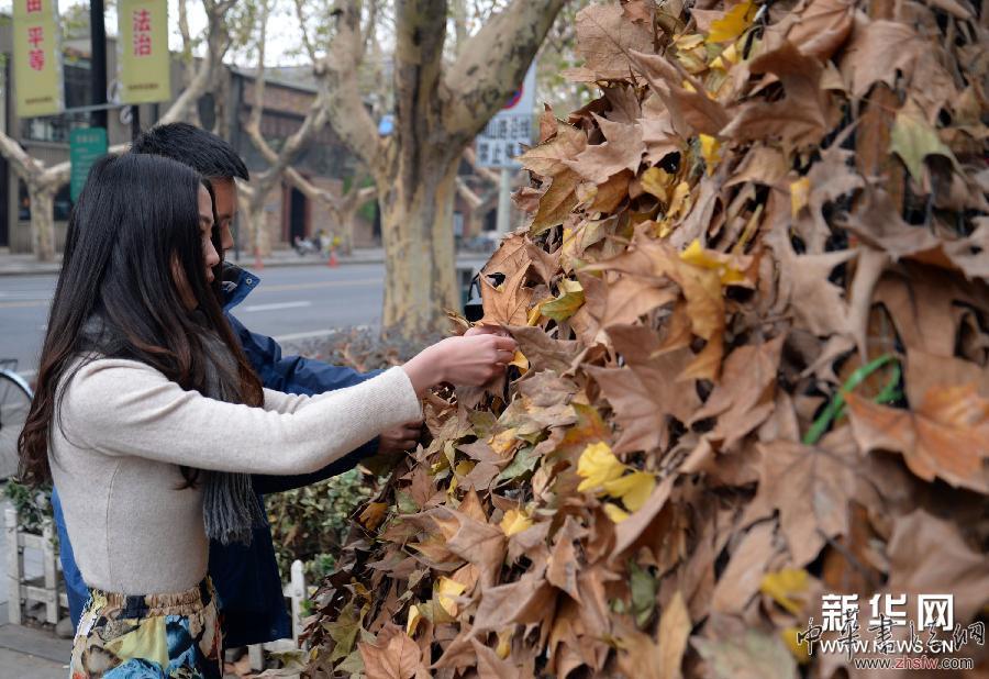 #（晚報(bào)）（2）落葉&ldquo;金字塔&rdquo;亮相杭州街頭