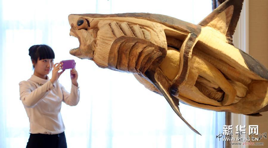 （晚報）海洋生物標本科普展在沈陽舉行