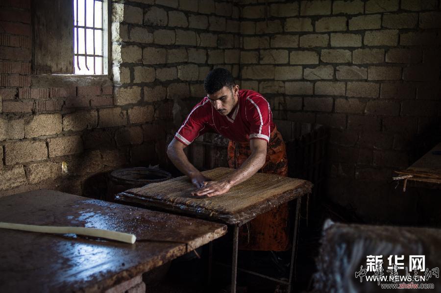 埃及:一張紙莎草畫的由來(lái) (國(guó)際)(2)埃及:一張紙莎草畫的由來(lái)