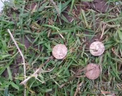 英破產(chǎn)尋寶家挖出5251枚古幣