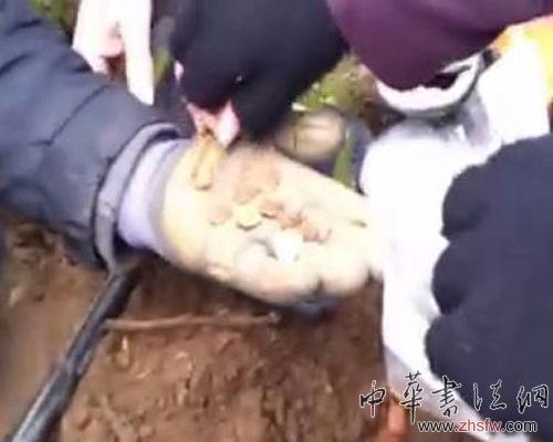 圖為挖掘現(xiàn)場(視頻截圖)。