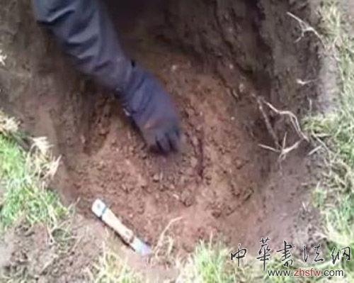 英破產(chǎn)尋寶家挖出5251枚古幣