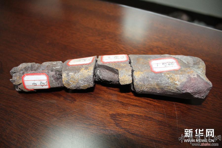 四川屏山縣發(fā)現(xiàn)侏羅紀動物化石 組圖 (新華網(wǎng))(1)四川屏山縣發(fā)現(xiàn)侏羅紀動物化石