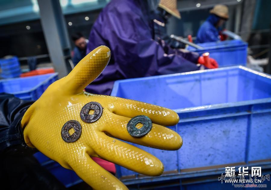 “南海一號(hào)”海量宋瓷重見天光 圖 (城鄉(xiāng)熱點(diǎn))(3)“南海一號(hào)”海量宋瓷重見天光