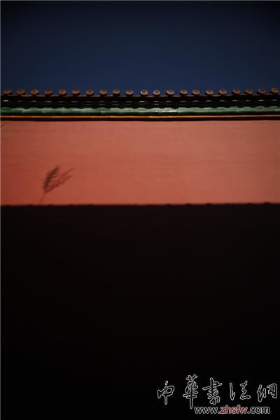 長沙14歲男孩拿下美國國家地理攝影大獎（圖）