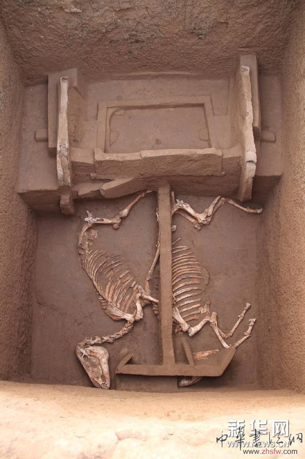 （晚報(bào)）（3）陜西考古現(xiàn)西周時期&ldquo;最大公共墓地&rdquo;