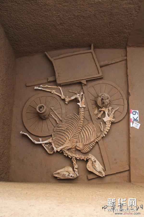 （晚報(bào)）（2）陜西考古現(xiàn)西周時期&ldquo;最大公共墓地&rdquo;