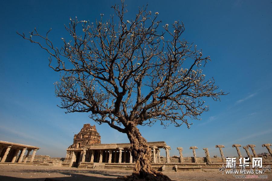 （國際）（4）失落的世界&mdash;&mdash;印度亨比古跡群