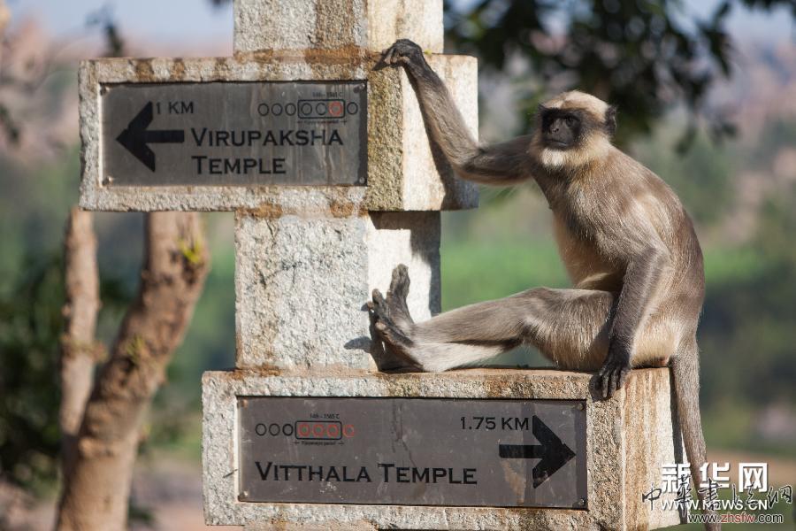 （國際）（1）失落的世界&mdash;&mdash;印度亨比古跡群