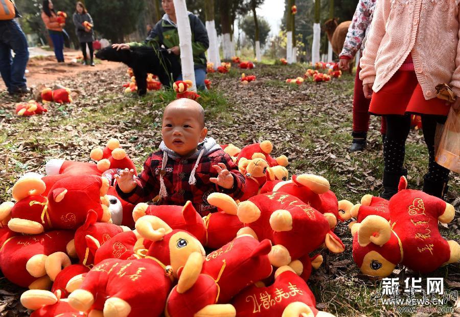 羊年觀羊 (新華網(wǎng))(2)羊年觀羊