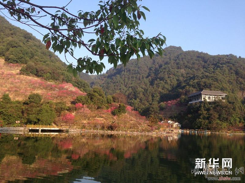 徐寒藝術(shù)館外的景色。