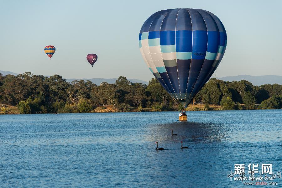 （國際）（1）第29屆堪培拉熱氣球節(jié)落幕