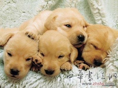 按此在新窗口瀏覽圖片